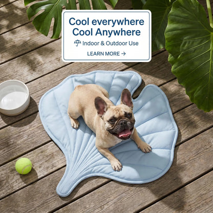Nuzzlebox Gel-Free Eco Cooling Pet Bed Mat - Durable, Portable, Machine Washable Summer Option with Cool Kitten Stuff for Cats, Small Dogs (34"X36") for Outdoor Adventures