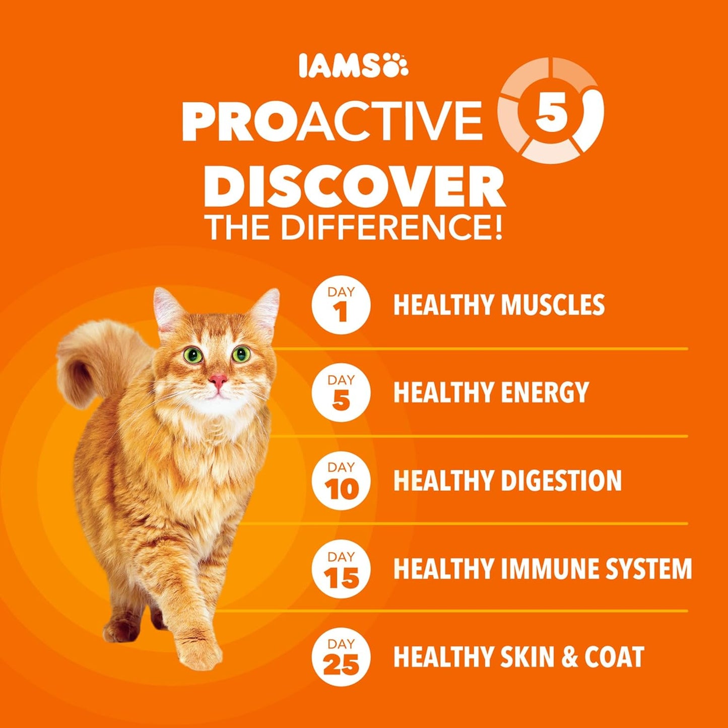 Proactive Health Dry Cat Food Hairball Care, Adult Cat Food, with Real Chicken and Salmon, 7 Lb. Bag