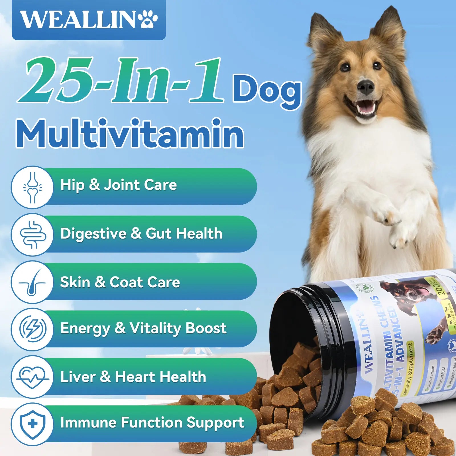 Dog Multivitamin Chews – 25-In-1 Supplement with Glucosamine, Probiotics & Omega-3 | for Puppies & Adult Dogs | Joint, Coat, Heart, Digestion & Immune Support – 200 Count