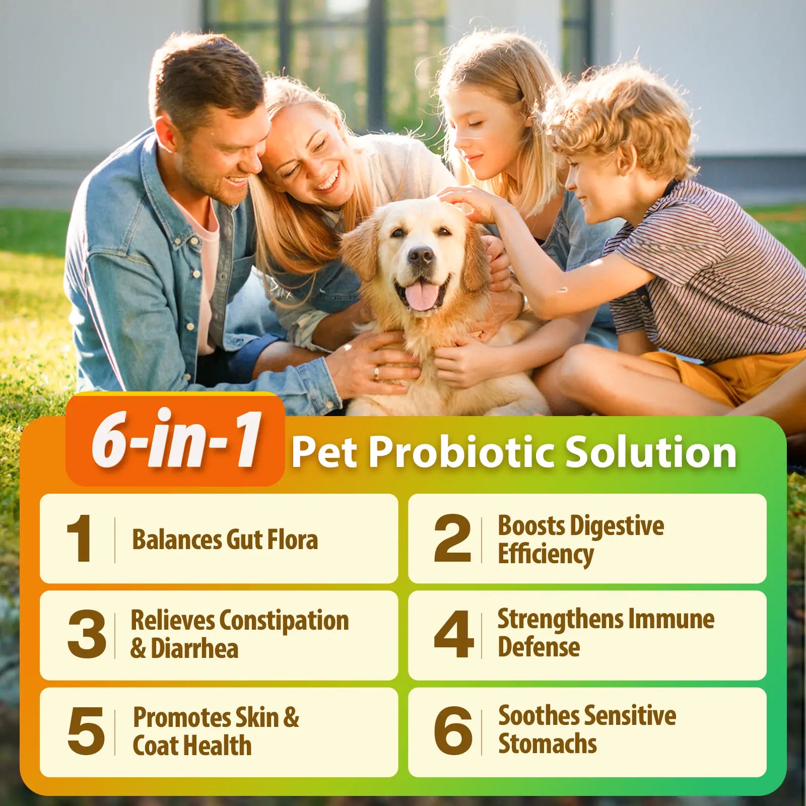 【Buy 1 Get 2】Penpen Dog Allergy-Relief Soft Chews, Omega 3 for Itching Skin Immune Support Peanut Butter Flavor 24 Months Supply