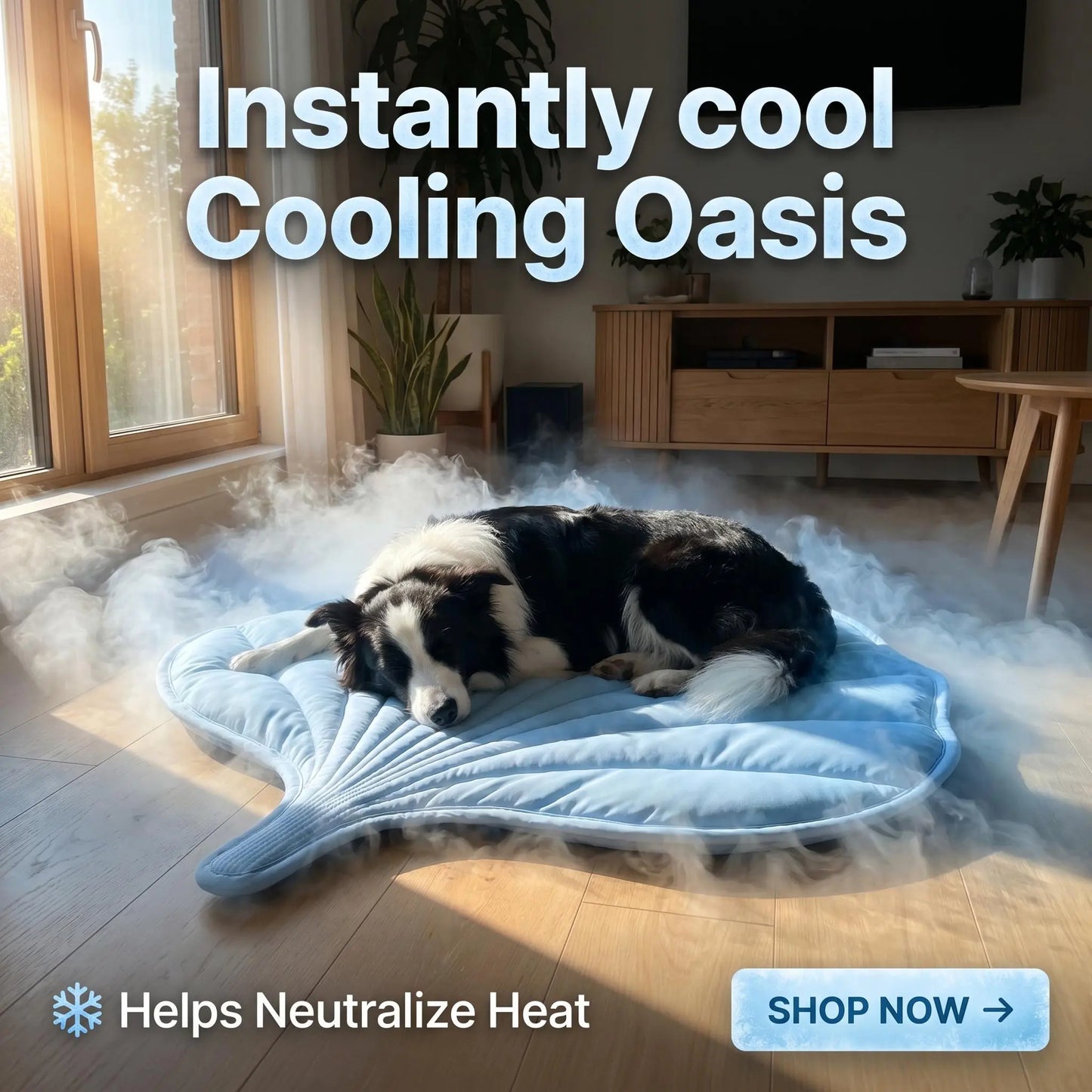 Nuzzlebox Gel-Free Eco Cooling Pet Bed Mat - Durable, Portable, Machine Washable Summer Option with Cool Kitten Stuff for Cats, Small Dogs (34"X36") for Outdoor Adventures